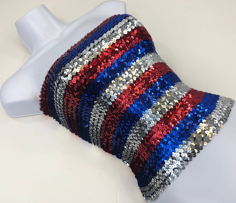 Red and Blue Striped Sequin Tube Top Silver