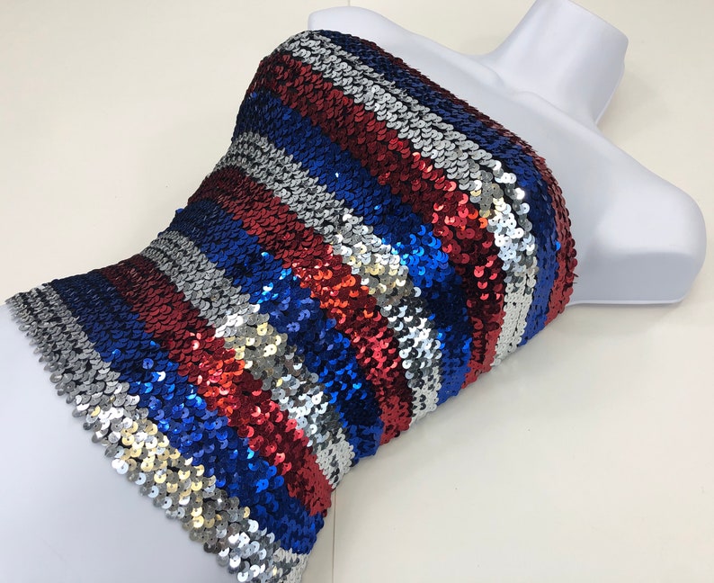 Red and Blue Striped Sequin Tube Top Silver