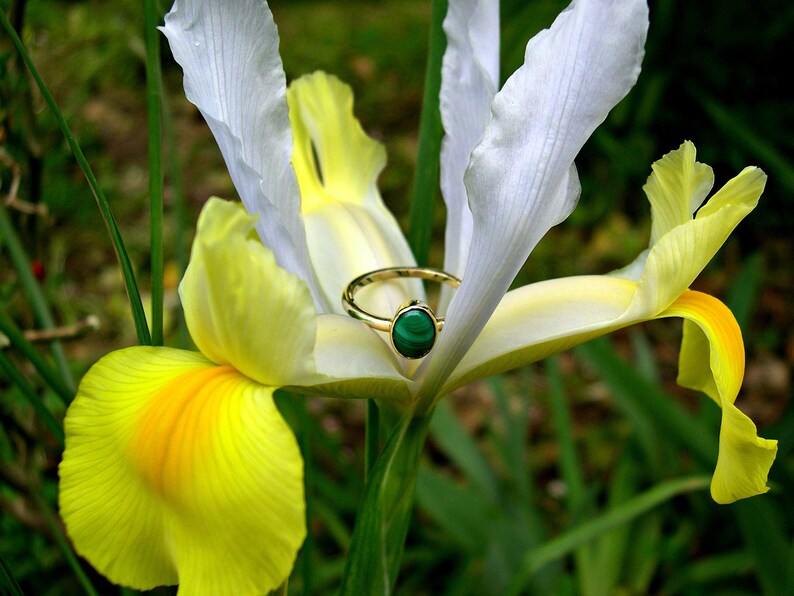 Puede incluir: Un anillo de oro con una piedra preciosa verde engastada en una flor amarilla.