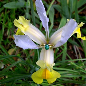 Puede incluir: Una delicada flor de iris blanca y amarilla con un anillo de oro con una piedra preciosa verde.