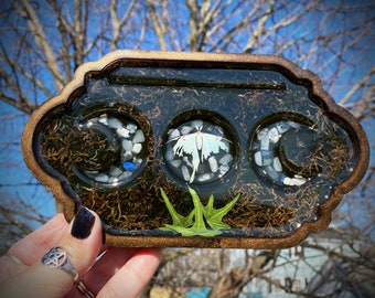 Tattered Luna Moth with Moss, Ivy, Rainbow Moonstone Occult Triple Moon Tarot Card Single Card Tray Hand Made Holder/Display