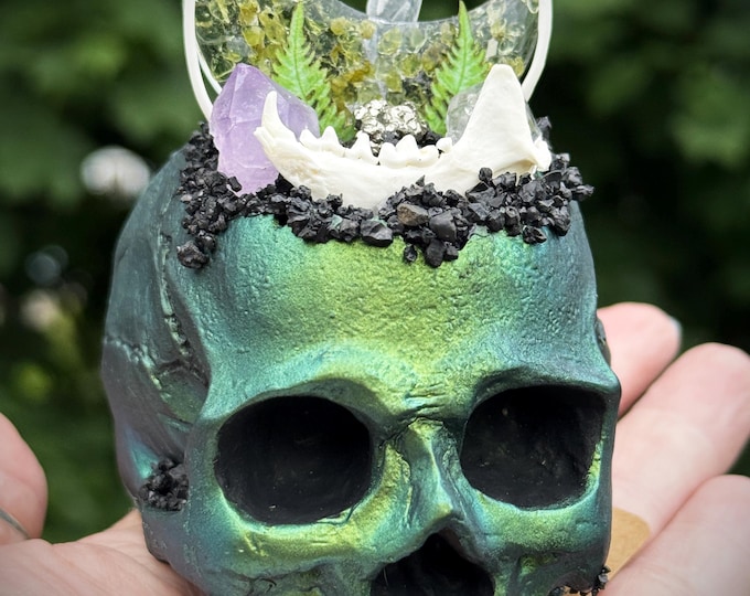 Featured listing image: Macabre Skull Crystal Garden Sculpture with Mink Jaw & Snake Ribs