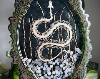 Faux Snake Skeleton with Rainbow Moonstone and Moss Oddities Occult Hand Made Resin Wall Hanging Decor
