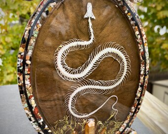 Faux Snake Skeleton with Rocks, Quartz, and Moss Oddities Occult Hand Made Resin Wall Hanging Decor