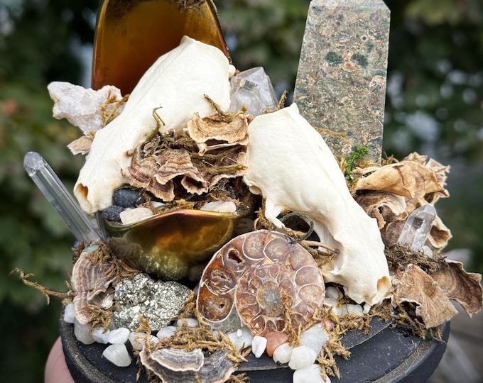 Featured listing image: Double Mink Skull Crescent Moon Handmade Crystal Garden Sculpture With Mushrooms Gothic/Occult/Oddities/Witchy