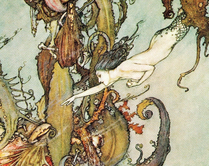 Edmund DULAC the Little Mermaid From Hans Andersen Original 1975