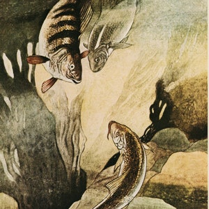 Original Vintage Print by Charles Robinson from Margaret&#39;s Book by H Fielding-Hall 1975 book plate