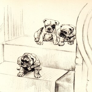 1942 Vintage DOG PRINT from a book of Sketches by K.F. Barker &quot;The Pioneer&quot;