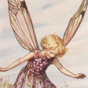 Fate dei fiori: la fata del timo selvatico Stampa vintage c1930 di Cicely Mary Barker