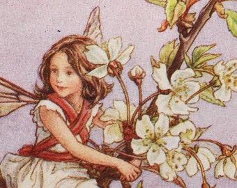 Hermann 桜の花妖精～Cherry Blossom Fairy～ The Wild Cherry Blossom Fairy - Flower Fairies