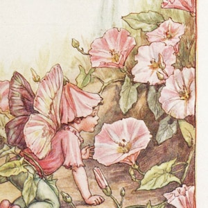 Flower Fairies: THE CONVOLVULUS FAIRY Vintage Print c1930 by Cicely Mary Barker