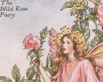 Flower Fairies: The WILD ROSE FAIRY Vintage Print c1930 by Cicely Mary Barker