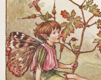 Flower Fairies: The HERB ROBERT FAIRY Vintage Print c1930 by Cicely Mary Barker