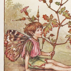 Fate dei fiori: LA FATA DELLE ERBE ROBERT Stampa vintage intorno al 1930 di Cicely Mary Barker