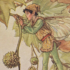 Flower Fairies: The PLANE TREE FAIRY Vintage Print c1930 by Cicely Mary Barker