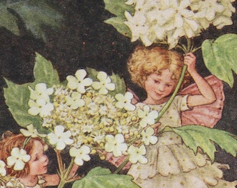 Red Clover Fairy 1930's Vintage Print CICELY MARY BARKER