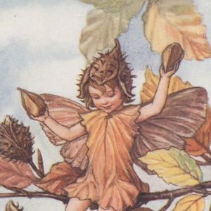 Flower Fairies: THE BEECHNUT  FAIRY Vintage Print c1930 by Cicely Mary Barker