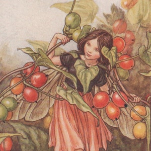 Flower Fairies: The BLACK BRYONY FAIRY Vintage Print c1930 by Cicely Mary Barker