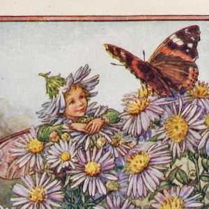 Flower Fairies: The MICHAELMAS DAISY FAIRY Vintage Print c1930 by Cicely Mary Barker