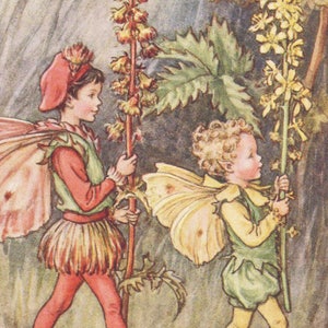 Flower Fairies: The AGRIMONY FAIRIES Vintage Print c1930 by Cicely Mary Barker
