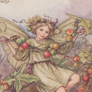 Flower Fairies: The WHITE BRYONY FAIRY Vintage Print c1930 by Cicely Mary Barker
