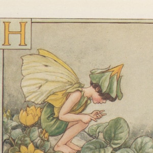 Hadas de las flores del alfabeto: H para HERB TWOPENCE FAIRY Vintage Print c1930 por Cicely Mary Barker carta
