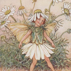 Flower Fairies: The SCENTLESS MAYWEED FAIRY Vintage Print c1930 by Cicely Mary Barker
