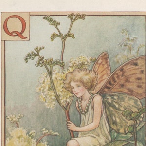 Alphabet Flower Fairies: Q for QUEEN of the MEADOW FAIRY Vintage Print c1930 by Cicely Mary Barker letter