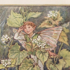 Flower Fairies: JACK by the HEDGE FAIRY Vintage Print c1930 by Cicely Mary Barker
