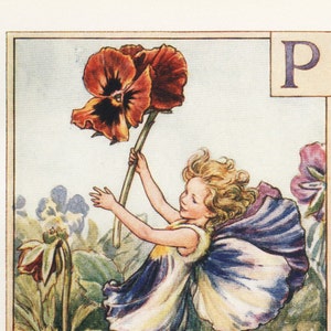 Fadas de flores do alfabeto: P para PANSY FAIRY Vintage Print c1930 por Cicely Mary Barker carta