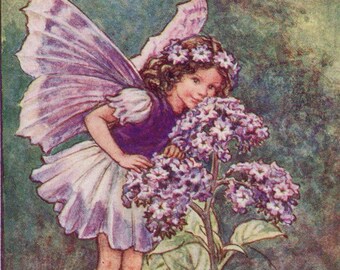 Flower Fairies: THE HELIOTROPE FAIRY Vintage Print c1930 by Cicely Mary Barker