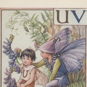 Alphabet Flower Fairies: U und V wie unglücklich! und VETCH FAIRY Vintage Print c1930 von Cicely Mary Barker letter