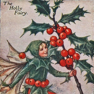 Flower Fairies: THE HOLLY FAIRY Vintage Print c1930 by Cicely Mary Barker