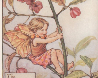 花の妖精：アーモンドの花の妖精 ヴィンテージプリント 1930年頃