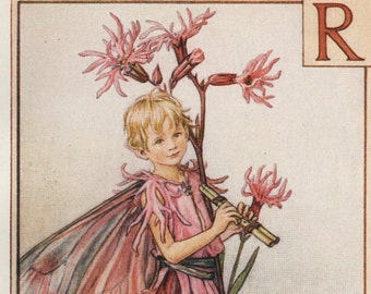 Ragged Robin Fairy Vintage Print - Cicely Mary Barker Alphabet Art