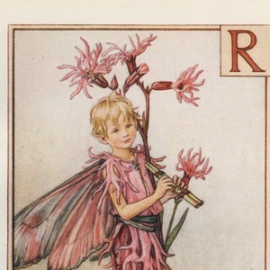 Alphabet Blumenfeen: R für RAGGED ROBIN FAIRY Vintage Print c1930 von Cicely Mary Barker letter