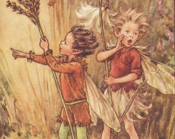 Flower Fairies: The RUSH-GRASS and Cotton-Grass FAIRIES Vintage Print c1930 by Cicely Mary Barker