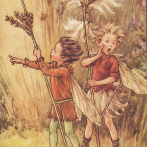 Flower Fairies: The RUSH-GRASS and Cotton-Grass FAIRIES Vintage Print c1930 by Cicely Mary Barker