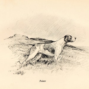 Könnte beinhalten: Schwarz-Weiß-Skizze eines Pointer-Hundes in einem Feld. Der Hund steht, den Kopf nach rechts gedreht. Unter dem Hund steht das Wort "Pointer", das die Rasse angibt.