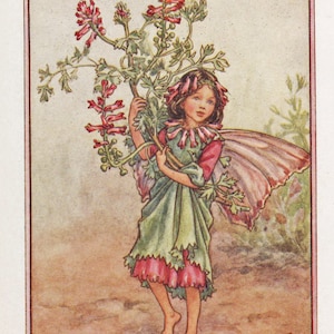 Flower Fairies: THE FUMITORY FAIRY Vintage Print c1930 by Cicely Mary Barker