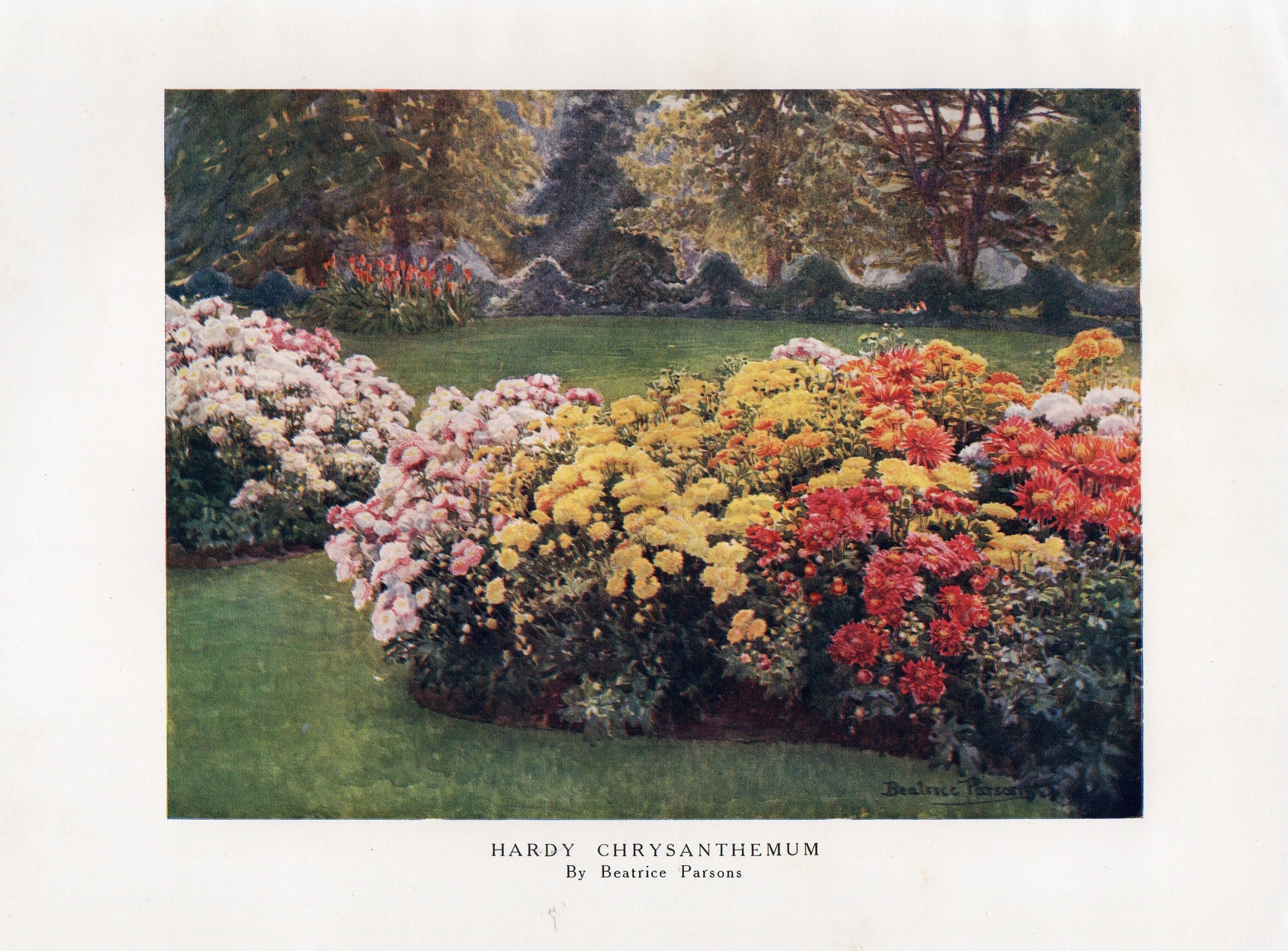 2000ピース ベアトリス パーソンズ 十月の庭 ジグソーパズルAmazon.co