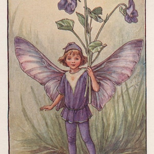 Flower Fairies: The DOG VIOLET FAIRY Vintage Print c1930 by Cicely Mary Barker
