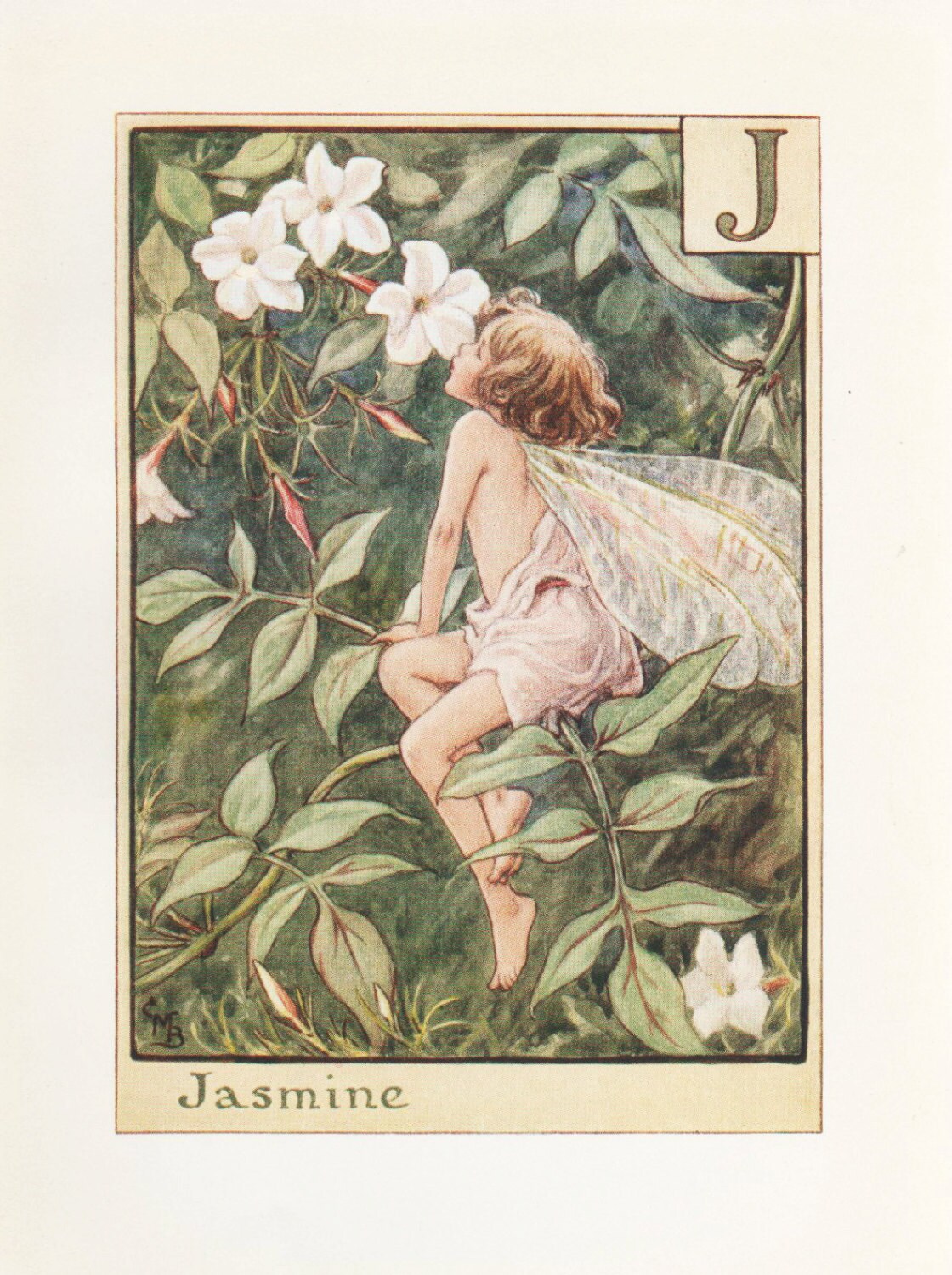Alphabet Flower Fairies: J for JASMINE FLOWER FAIRY Vintage
