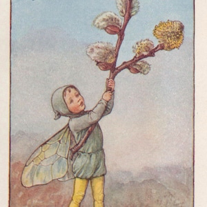 Fate dei fiori: la fata WILLOW-CATKIN stampa vintage c1930 di Cicely Mary Barker