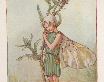 花の妖精：赤いクローバーの妖精 ヴィンテージプリント 1930年頃