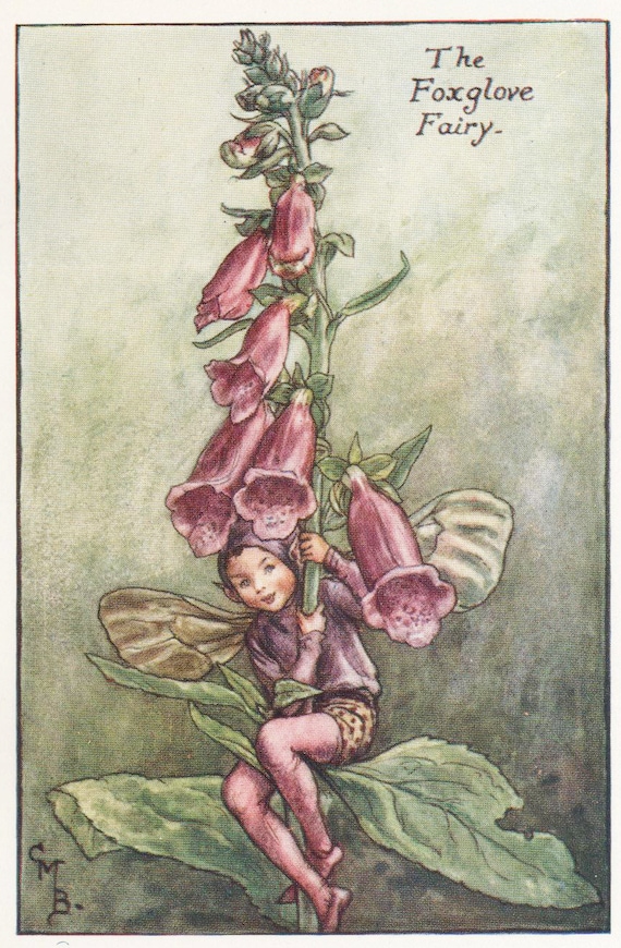 Flower Fairies: The FOXGLOVE FAIRY Vintage Print c1930 by Cicely Mary Barker