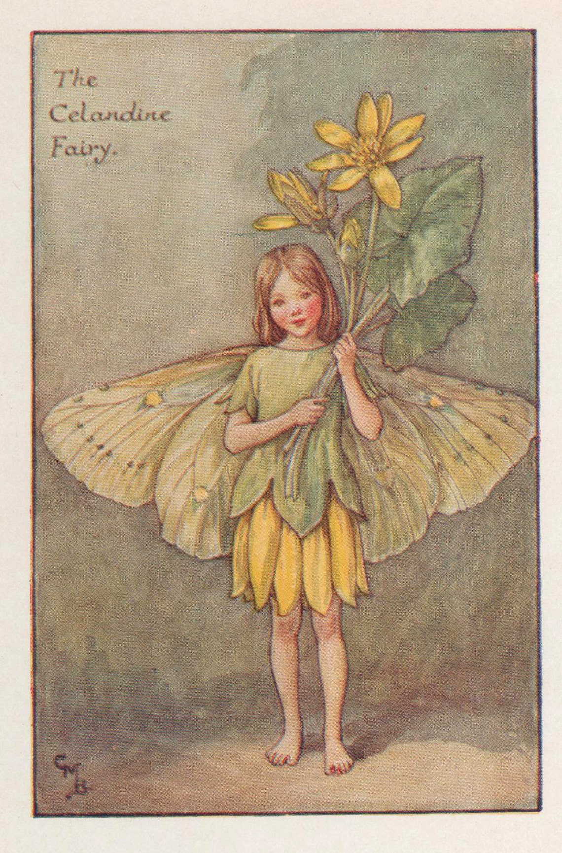 Flower Fairies: The CELANDINE FAIRY Vintage Print c1930 by image 1