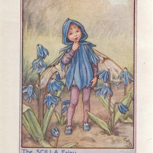 Flower Fairies: THE SCILLA FAIRY Vintage Print c1930 by Cicely Mary Barker
