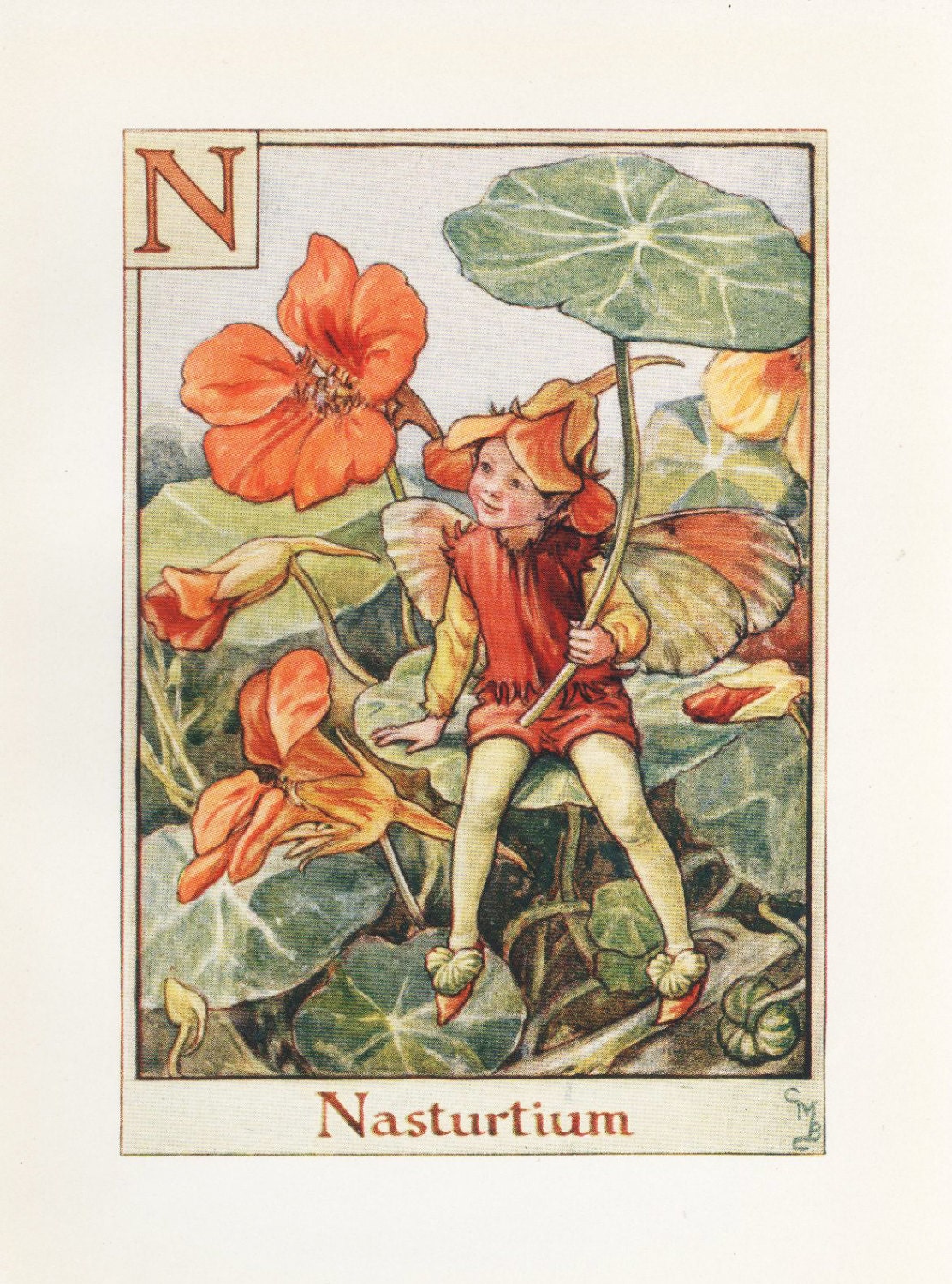 Alphabet Flower Fairies: N for NASTURTIUM FAIRY Vintage