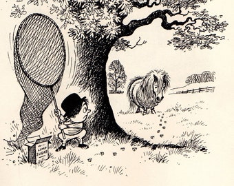 Original 1962 Lustiges THELWELL PFERD / PONY Vintage Art Cartoon Druck